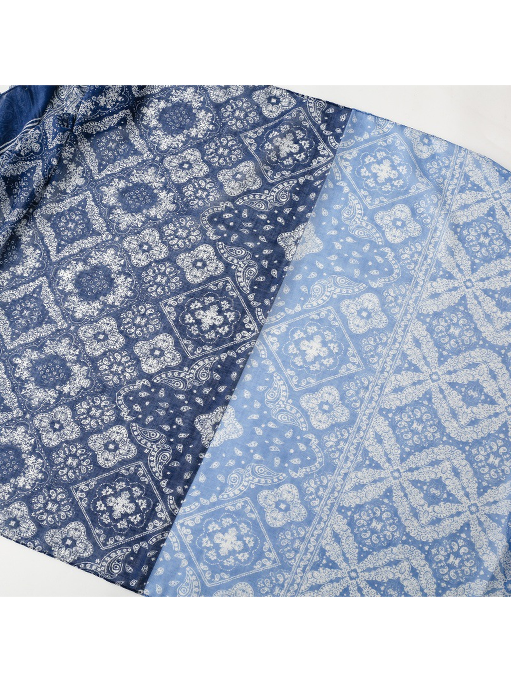 Scarvii - Paisley Border Tassel Scarf